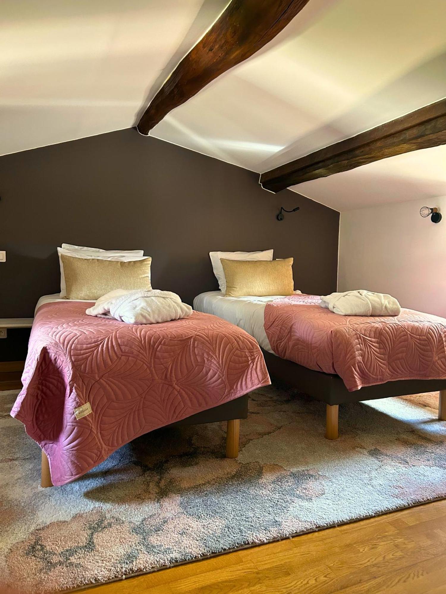 Bed and Breakfast Le Domaine De Gorneton Chasse-sur-Rhône Exterior foto